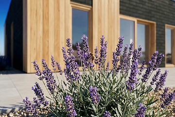 Dom 43 m² mieszkalny, modułowy, całoroczny HEL V22_A2_Mix